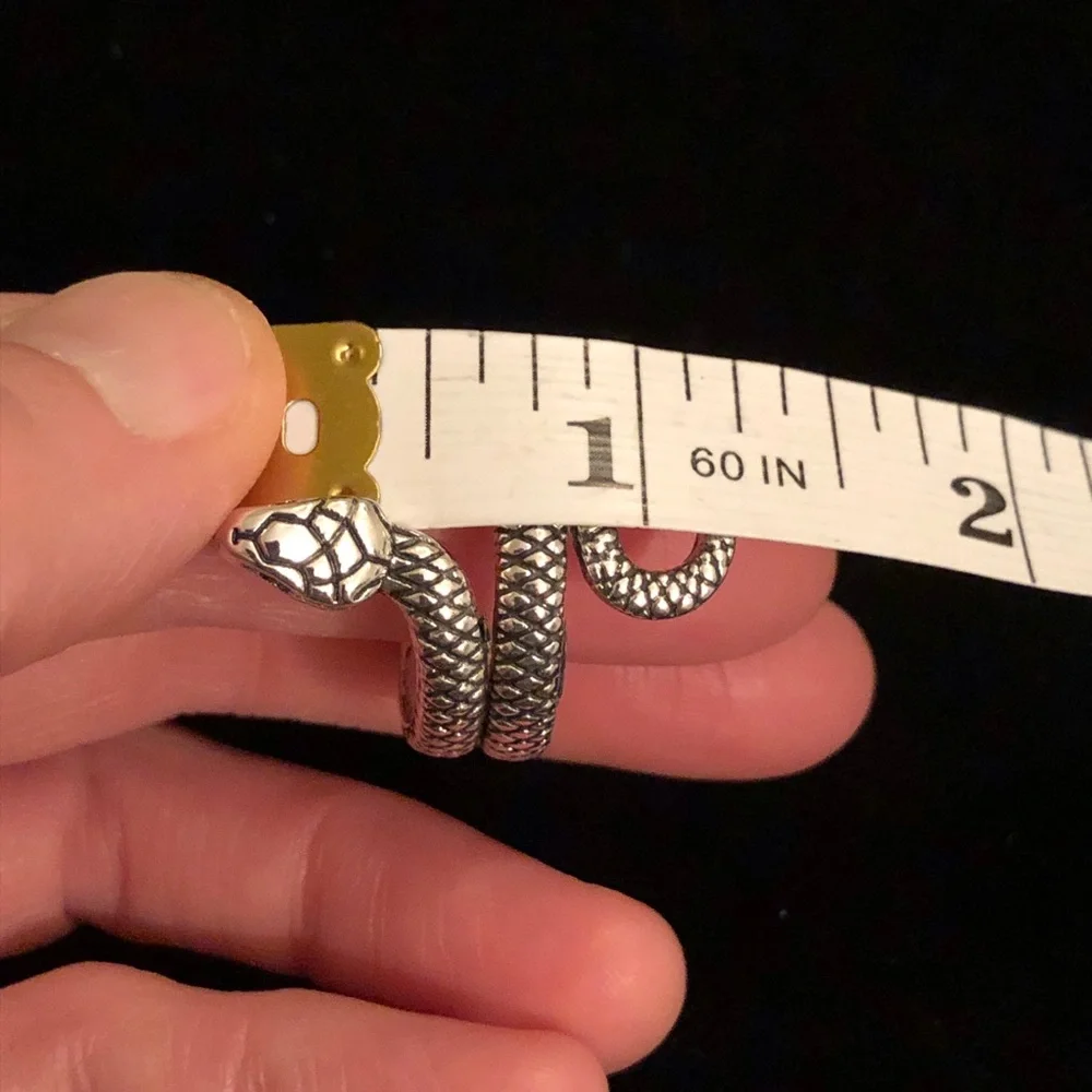 Silver Tone Snake Ring